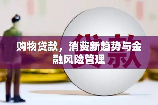港南购物贷款，消费新趋势与金融风险管理