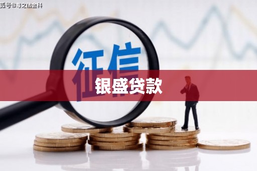 罗山银盛贷款