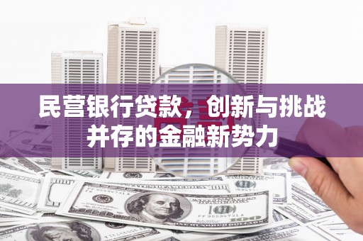 嘉禾民营银行贷款，创新与挑战并存的金融新势力