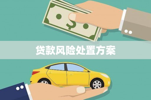 将军贷款风险处置方案