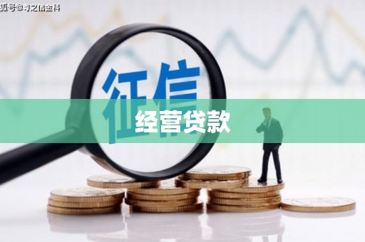 望城经营贷款