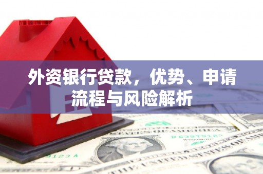 前镇外资银行贷款，优势、申请流程与风险解析