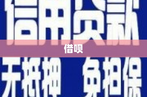 新华借呗