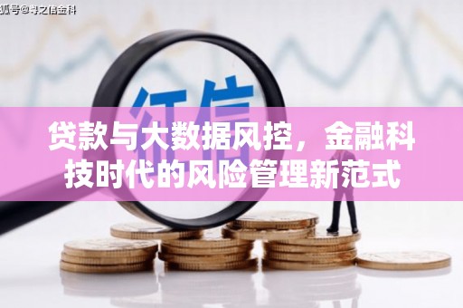 高要贷款与大数据风控，金融科技时代的风险管理新范式