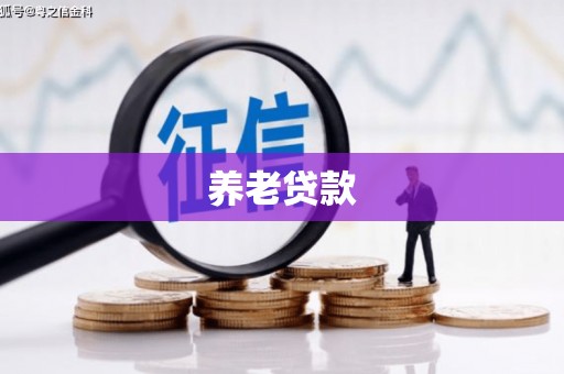 龙文养老贷款