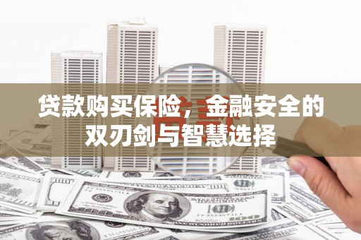 囊谦贷款购买保险，金融安全的双刃剑与智慧选择
