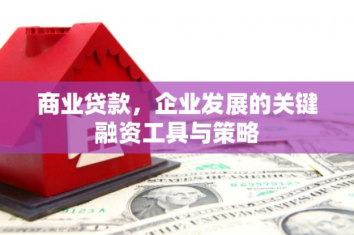 米脂商业贷款，企业发展的关键融资工具与策略