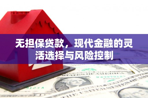 光明新区无担保贷款，现代金融的灵活选择与风险控制