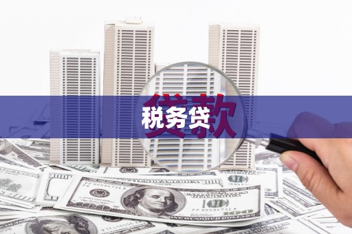 西华税务贷