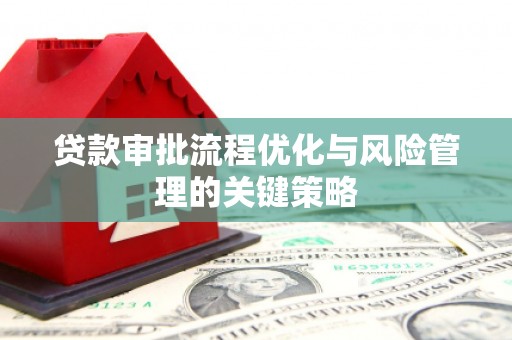 习水贷款审批流程优化与风险管理的关键策略