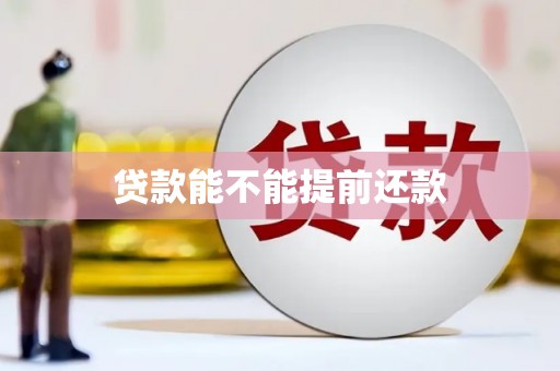 西秀贷款能不能提前还款