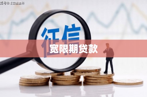天元宽限期贷款