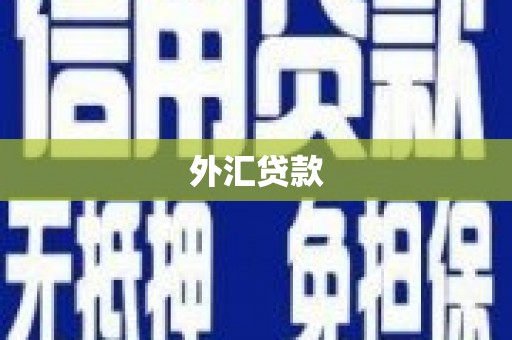长滨外汇贷款