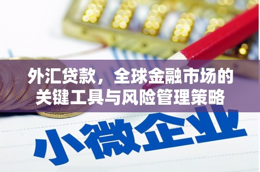 沈河外汇贷款，全球金融市场的关键工具与风险管理策略