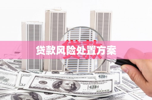 洮北贷款风险处置方案