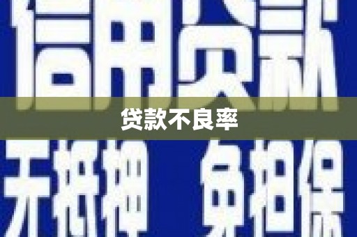 静乐贷款不良率