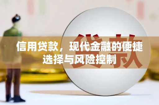 临渭信用贷款，现代金融的便捷选择与风险控制