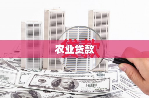 天河农业贷款