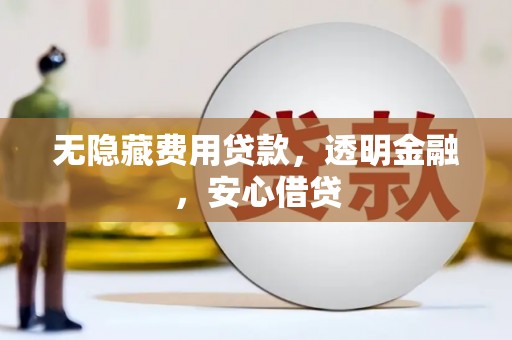 临沧无隐藏费用贷款，透明金融，安心借贷