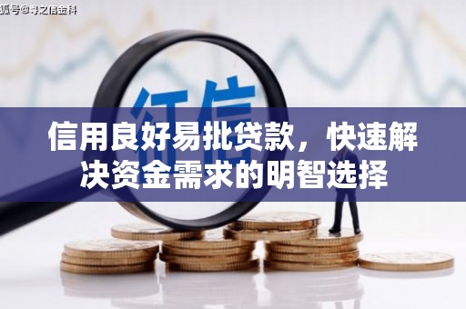 广东信用良好易批贷款，快速解决资金需求的明智选择