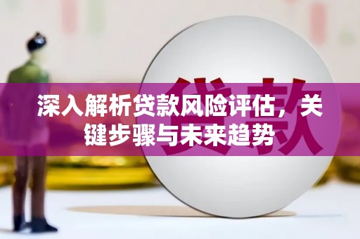 沈北新区深入解析贷款风险评估，关键步骤与未来趋势