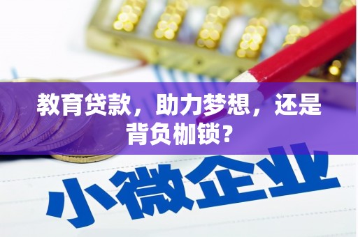 沙鹿教育贷款，助力梦想，还是背负枷锁？