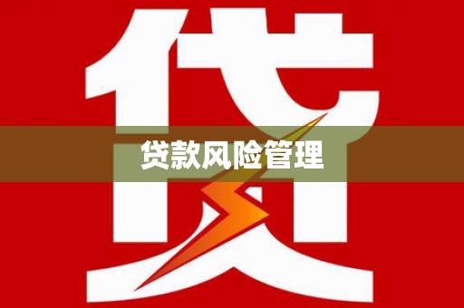 赤坎贷款风险管理