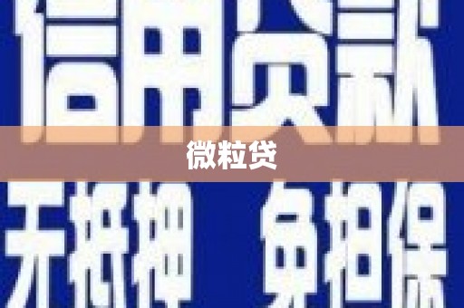黄平微粒贷