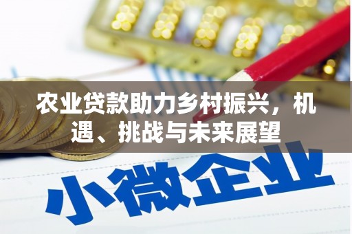 蚌埠农业贷款助力乡村振兴，机遇、挑战与未来展望