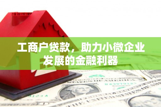 柳营工商户贷款，助力小微企业发展的金融利器