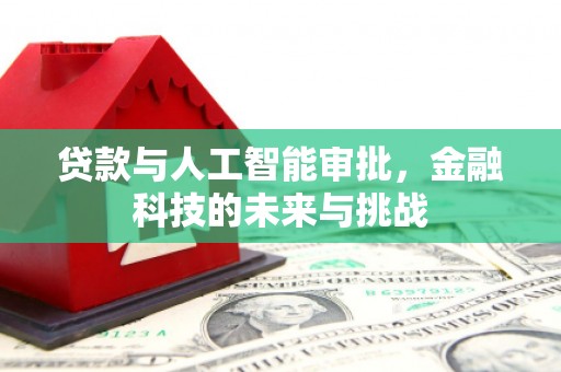 岳塘贷款与人工智能审批，金融科技的未来与挑战