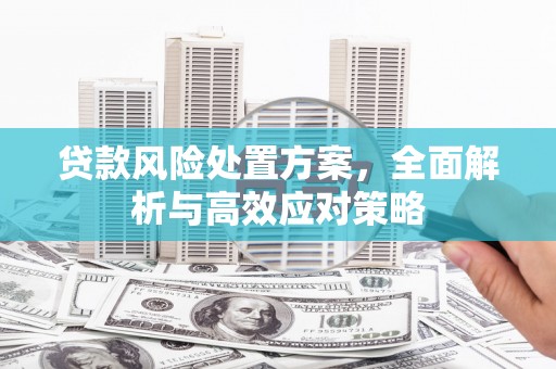 大名贷款风险处置方案，全面解析与高效应对策略
