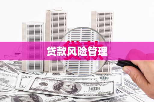 竹崎贷款风险管理