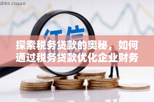 临海探索税务贷款的奥秘，如何通过税务贷款优化企业财务