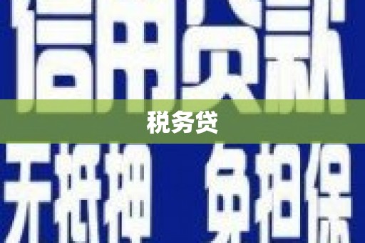 双阳税务贷