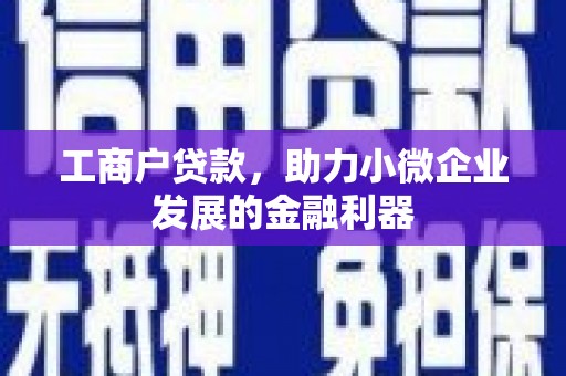 阜新工商户贷款，助力小微企业发展的金融利器