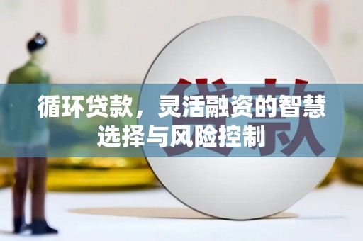 肃州循环贷款，灵活融资的智慧选择与风险控制