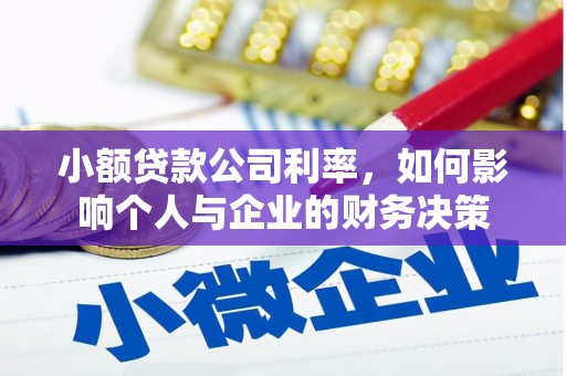 武鸣小额贷款公司利率，如何影响个人与企业的财务决策