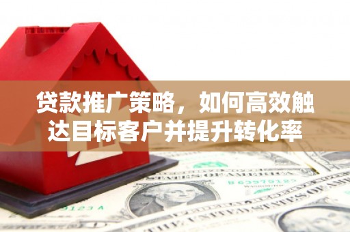 施甸贷款推广策略，如何高效触达目标客户并提升转化率