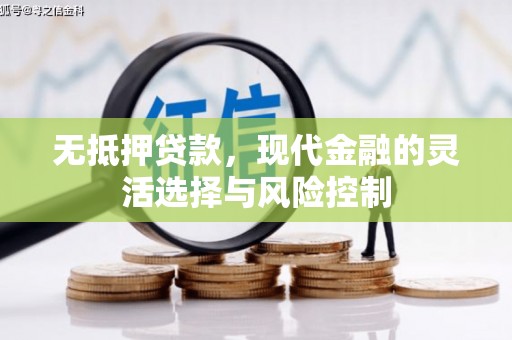 嵩县无抵押贷款，现代金融的灵活选择与风险控制