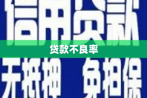 池上贷款不良率