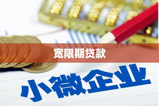 新园宽限期贷款