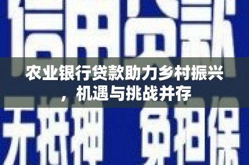 安定农业银行贷款助力乡村振兴，机遇与挑战并存