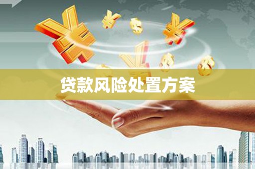 韶关贷款风险处置方案