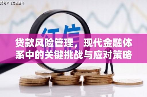 云南贷款风险管理，现代金融体系中的关键挑战与应对策略