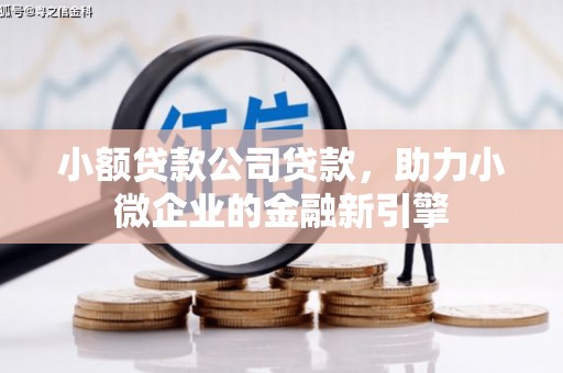 石城小额贷款公司贷款，助力小微企业的金融新引擎