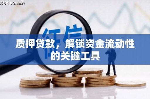保税港区质押贷款，解锁资金流动性的关键工具