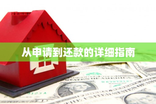 镇康从申请到还款的详细指南