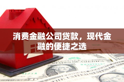 鄂托克旗消费金融公司贷款，现代金融的便捷之选