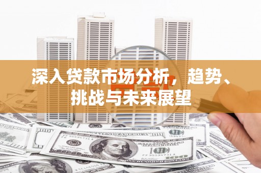 双柏深入贷款市场分析，趋势、挑战与未来展望
